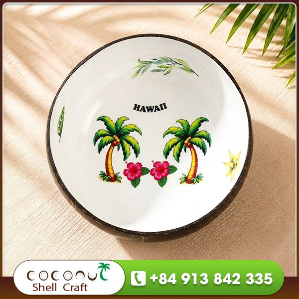 Lacquered coconut shell bowl